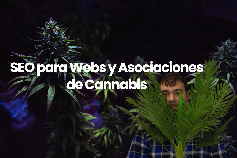 SEO para webs y asociaciones de Cannabis y Marihuana